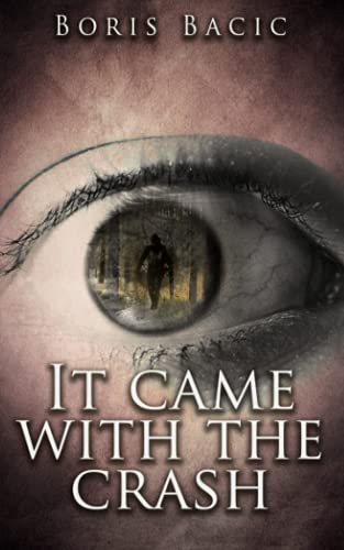 It Came With The Crash cover