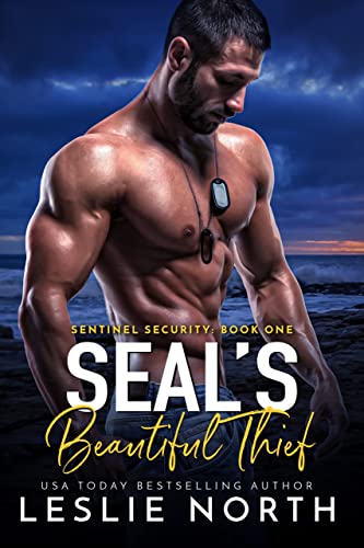 SEAL's Beautiful Thief book cover