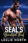 SEAL's Beautiful Thief (Sentinel Security Book 1)