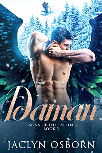 Daman book cover
