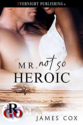 Mr. Not So Heroic book cover