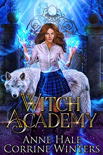 Witch Academy book cover