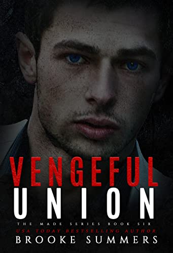 Vengeful Union book cover