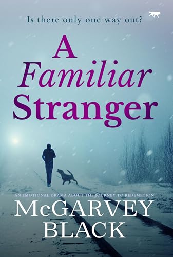 A Familiar Stranger book cover