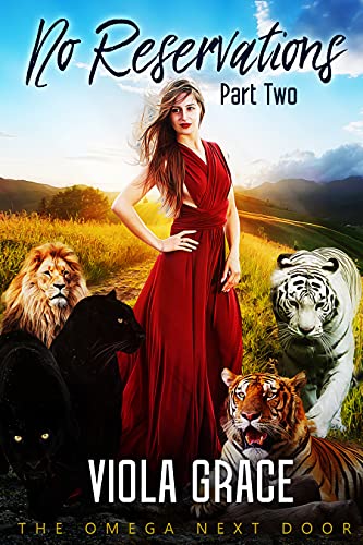 No Reservations Part Two book cover