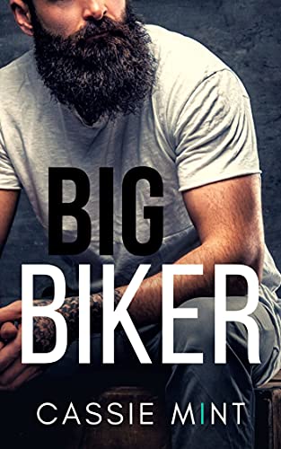 Big Biker book cover