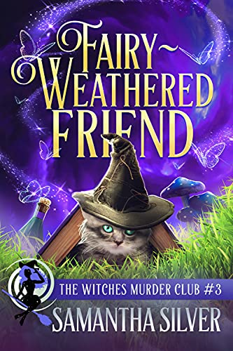 Fairy-Weathered Friend book cover