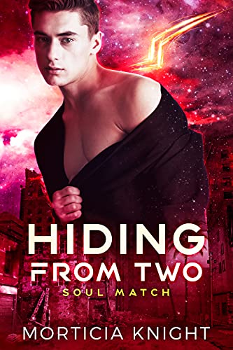 Hiding from Two book cover