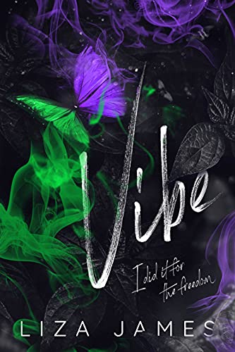 Vibe book cover