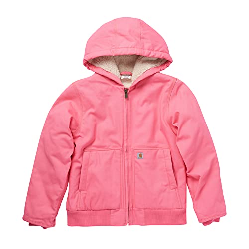 Carhartt OUTDOORS - Apparel Zip Front Canvas Insulated Hooded Active Jac, Pink Lemonade, Large (14)