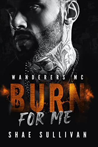 Burn For Me book cover