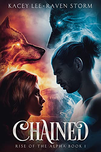 Chained book cover