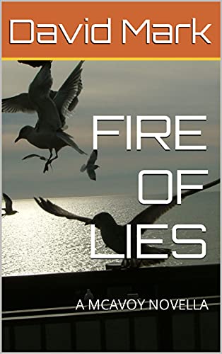 Fire of Lies book cover