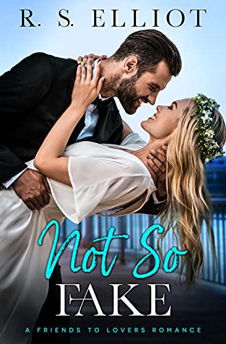 Not So Fake book cover