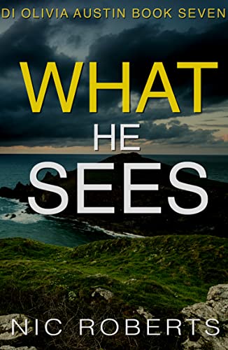 What He Sees cover