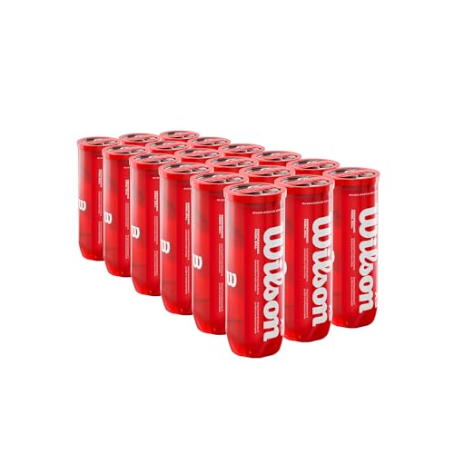 Wilson Padel X3 Box (24 Tubes of 3 Balls)