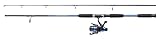 Shakespeare Firebird Spinning Combo