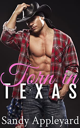 Torn in Texas book cover
