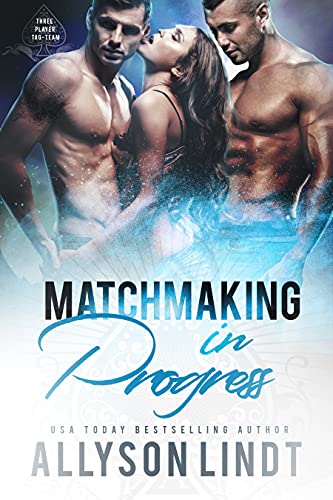 Matchmaking in Progress book cover