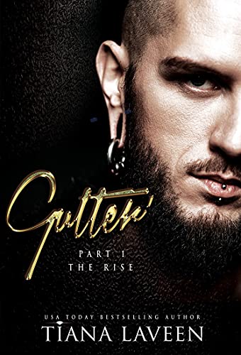 The Rise book cover