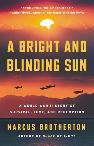 A Bright and Blinding Sun book cover