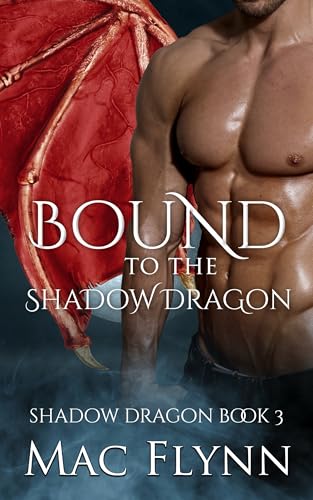 Bound to the Shadow Dragon book cover