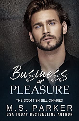 Business or Pleasure book cover