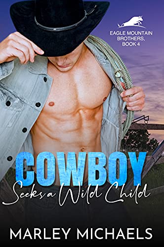 Cowboy Seeks a Wild Child book cover
