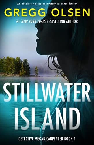 Vanishing Point / Stillwater Island book cover