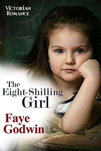 The Eight-Shilling Girl book cover