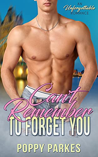 Can't Remember to Forget You book cover