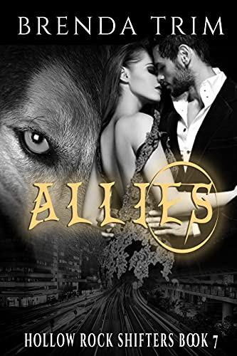 Allies book cover