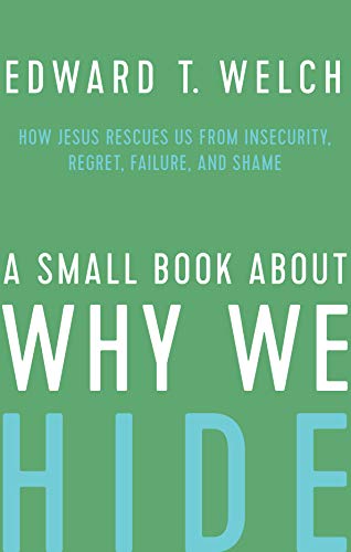 A Small Book About Why We Hide book cover