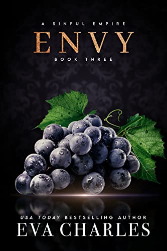 Envy book cover
