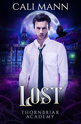 Lost book cover
