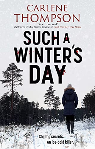 Such a Winter's Day book cover