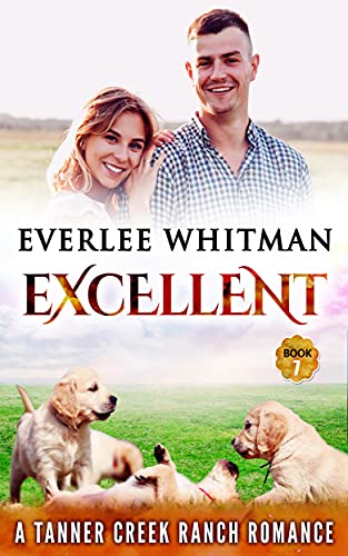 Excellent book cover