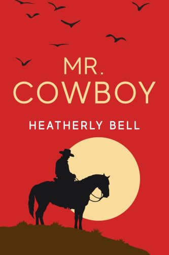 Mr. Cowboy book cover