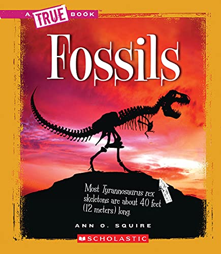 Fossils book cover