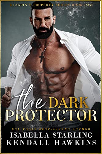 The Dark Protector book cover