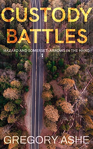 Custody Battles book cover