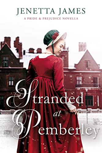 Stranded at Pemberley book cover