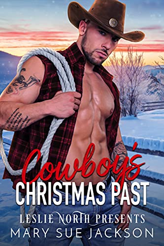 Cowboy’s Christmas Past book cover