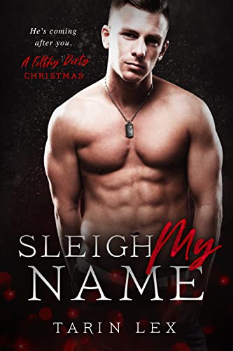 Sleigh My Name book cover