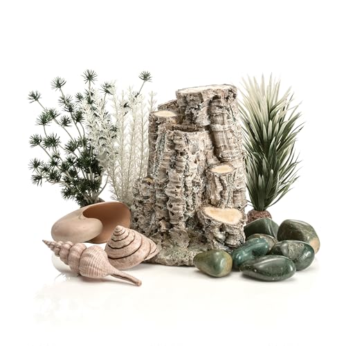 biOrb Decor Set, Forest Rhythm - Silver Birch Sculpture, Plant & Sea Shell Ornaments for 30 L+ Aquariums, Easy-Insert Decoration Fresh & Saltwater Tanks, Perfect Fish Tank Decorations