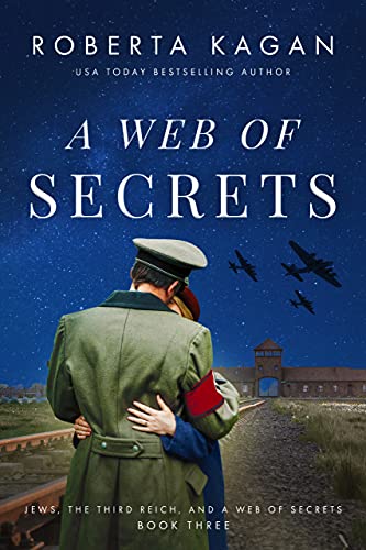 Web of Secrets book cover