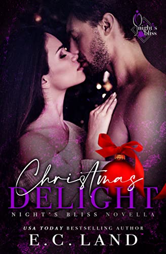 Christmas Delight book cover