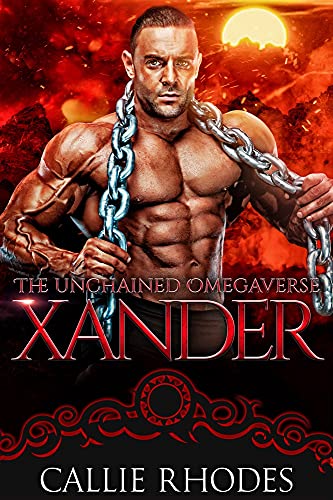 Xander book cover