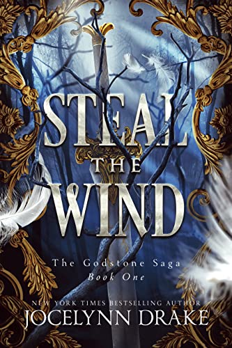 Steal the Wind book cover
