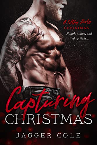 Capturing Christmas book cover
